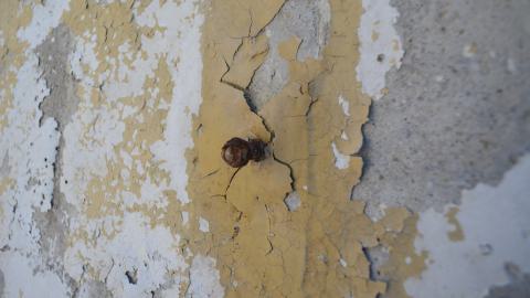 Found To The Downations - DSC_0003.JPG