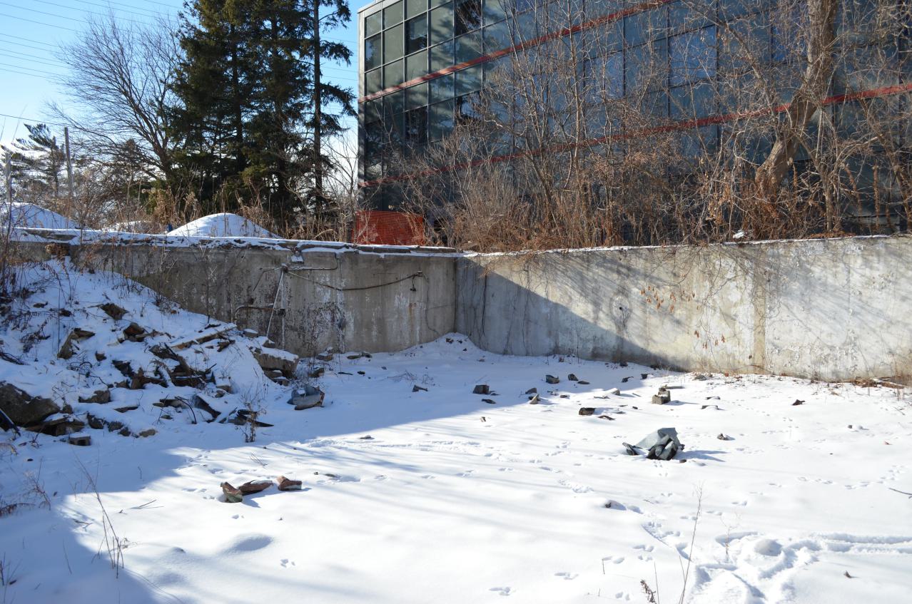 Found To The Downations - DSC_0001.JPG