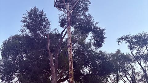 Kernahan Park - Biersach and Niedermeyer Mobil Directo Air Raid Siren cover photo