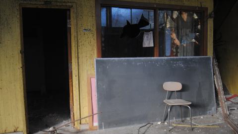 FJR - February/April 2014 - DSC_0137.JPG