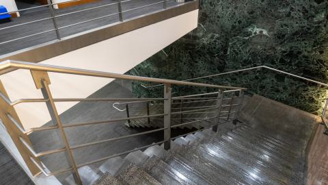 No One Knows - DSC02934.JPG