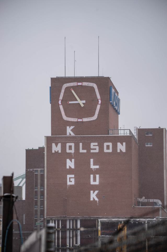 Molson Brewery photo 4