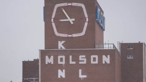 Molson Brewery cover photo