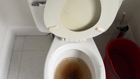 The Rubber Duckie - da828f76-219e-4e1a-9d47-a8e130b4c459.jpg