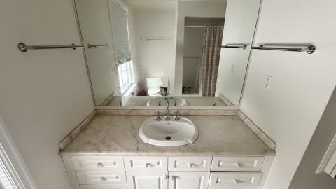 The Rubber Duckie - 17e5e846-4e4a-454c-a806-8777f0a28035.jpg