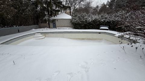 The Rubber Duckie - 6f6b8ce5-42d4-4a2d-9289-179ed129912a.jpg