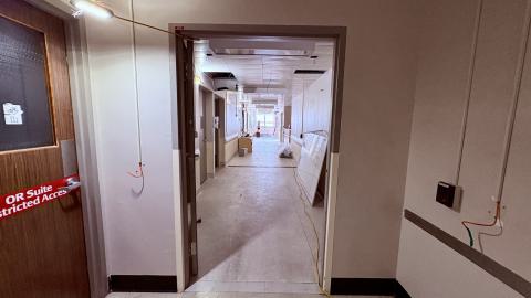 January 31, 2026 - 5f9ee3b6-4937-49e4-ac04-6b6add7c2426.jpg