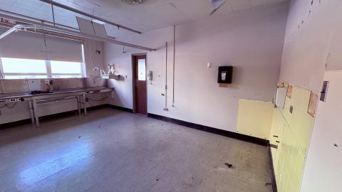 January 31, 2026 - 75eb55c5-5fdf-4ff1-b579-30f5cc318e21.jpg