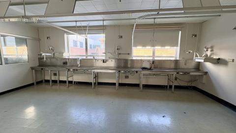 January 31, 2026 - c79031e4-14af-49d9-89bf-cc3ef22c38c6.jpg