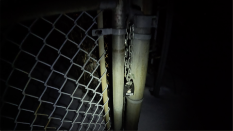 Photo from Cumis court (rip, locked)