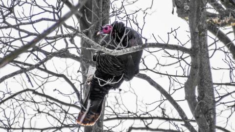 Grimsby Isolation Chamber - 1ecd9189-e779-4a73-815d-aff6e10a63d4.jpg