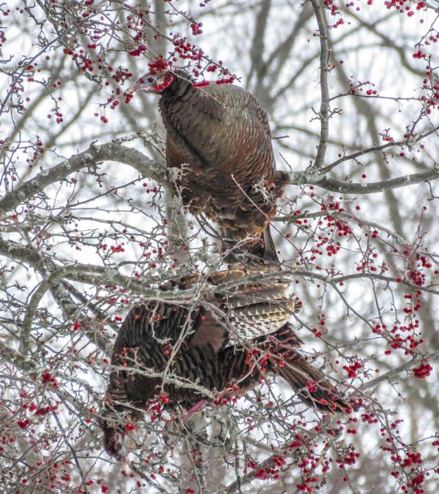 Grimsby Isolation Chamber photo 3
