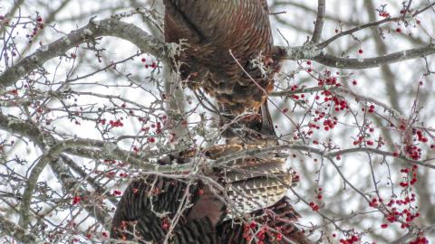 Grimsby Isolation Chamber - e92f5915-0889-4afd-bca7-b382a369afee.jpg