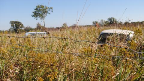 September 2013 - 269f4b95-3b63-472f-8faa-b0b4796f424a.jpg