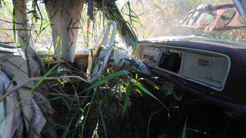 September 2013 - 082fd801-d1ef-4d7d-95f5-0abe6f24359a.jpg