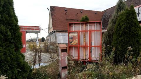 October 2023 - f5274f38-052a-4b01-809d-7e303c75bd7b.jpeg