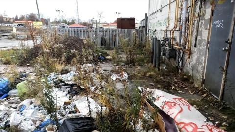 October 2023 - 36613baf-d4ca-4482-bf12-658c247e2809.jpeg