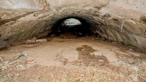 March 3, 2026 - d92c725d-1eb5-4956-8155-ad6ee9566277.jpg