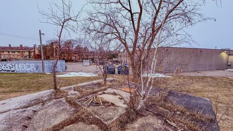 March 3, 2026 - 7b2680d9-e0ea-4571-9ad2-b476805ddc7e.jpg