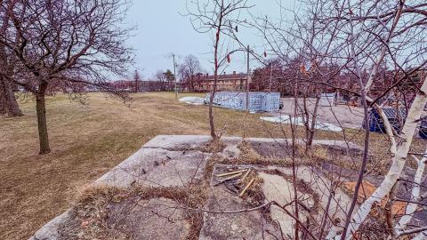 March 3, 2026 - ccc3c21d-9a3e-4d56-8e13-a5b41a101af5.jpg