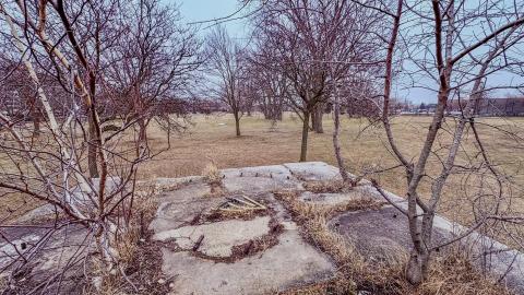 March 3, 2026 - 41408c00-f676-4e9c-84cf-a06be08fe507.jpg