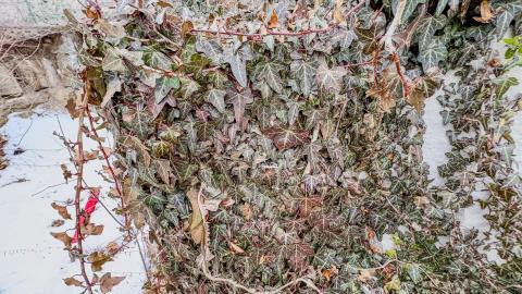 March 3, 2026 - 448a697c-791b-43a7-bb3e-1748278fa07b.jpg