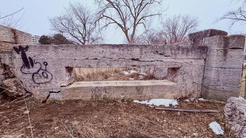 March 3, 2026 - 2dfd2065-da91-4bf3-92ea-32707c992a98.jpg