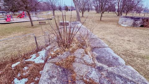 March 3, 2026 - d2926974-e868-4867-97c7-4e302996ca4a.jpg