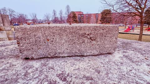 March 3, 2026 - d38ca0c8-1891-46fc-a1f8-8a18ff0ade86.jpg