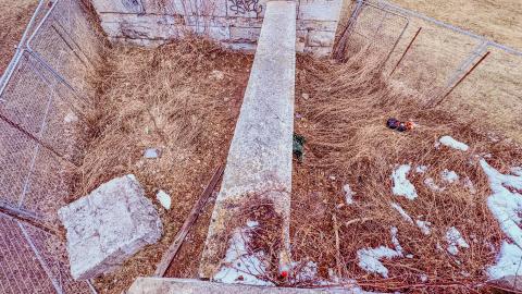 March 3, 2026 - 58481539-777f-4159-9f8c-ef31b9c89252.jpg