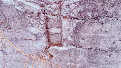 March 3, 2026 - d1c9bdba-24d9-41eb-bdb5-a9a4a81f335f.jpg