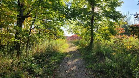 September 2023 - 558e0b24-871c-4608-a8f6-40ac19c0240d.jpg