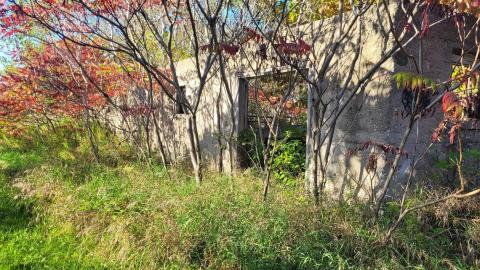 September 2023 - b1d6ca5f-7e28-4a7a-bf04-c3baff5f7f48.jpg