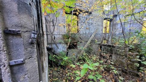 September 2023 - e0cb308b-72aa-4b1d-a758-689ebd35c3a7.jpg