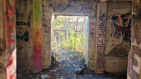 September 2023 - 1cf0c9c0-d2b5-4a51-98bf-34741e92b805.jpg