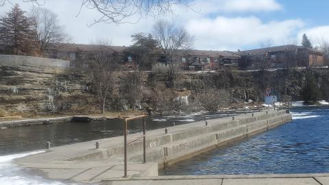 the dock off the green space