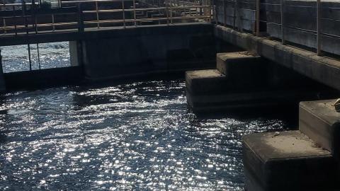 the dam on the side of the locks