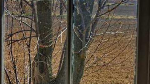 STUFFY NO MORE - Homeplosion8.jpg