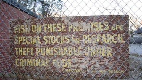 MNR Lands - East-Don-Headwaters-MNR-lands25.jpg