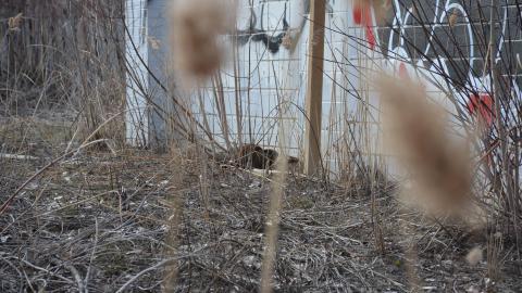 The door smells like cigarettes - efae8519-7cbc-4380-997f-b0e0b3b9e767.jpg