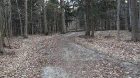 MNR Lands - East-Don-Headwaters-MNR-lands21.jpg