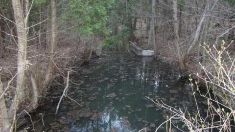 MNR Lands - East-Don-Headwaters-MNR-lands34.jpg