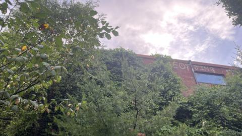 Photo from Security Studios