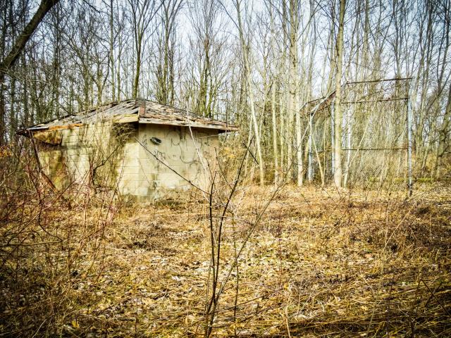 Atlas Steels Baseball Park photo 4