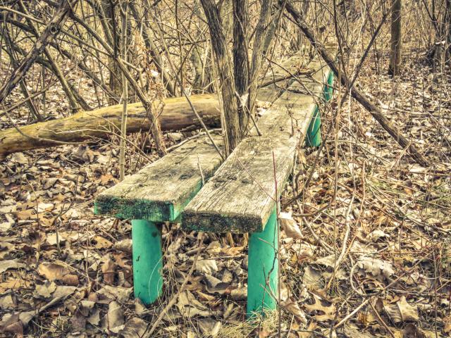 Atlas Steels Baseball Park photo 5