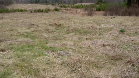 Running Ragged - Ragged-Rapids-(ghost-town)11.jpg