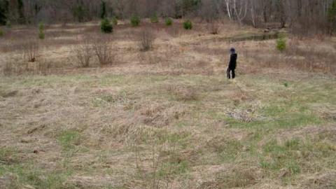 Running Ragged - Ragged-Rapids-(ghost-town)18.jpg