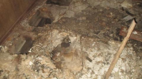 Floor