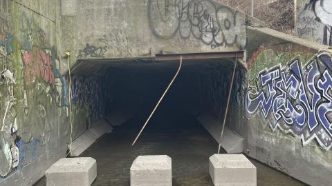 Photo from Mimico’s Finest