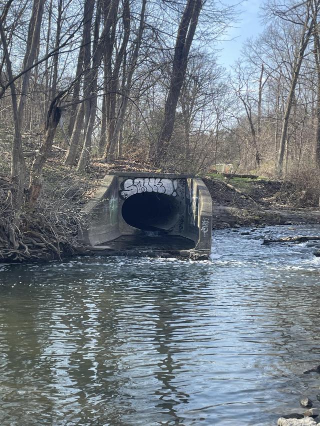 Reid Manor Drain - Toronto, Ontario